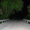 Donkey Lady Bridge in San Antonio